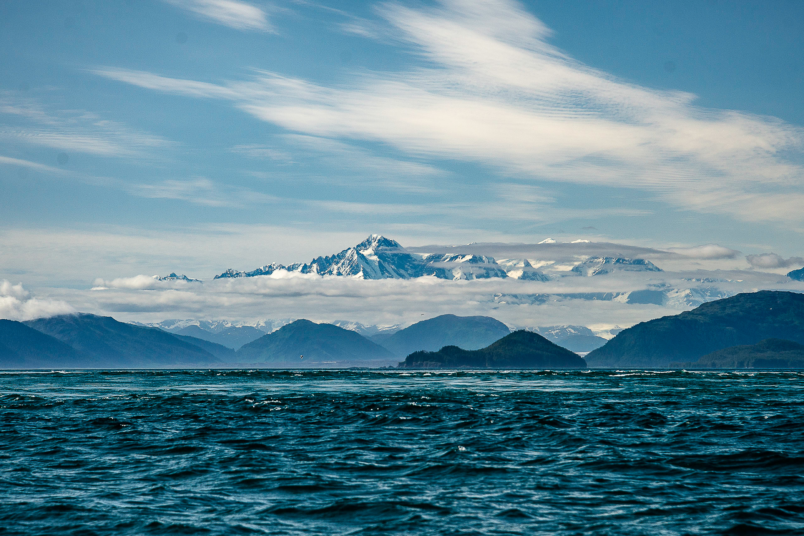 Temperate North America Alaska | EYOS Expeditions